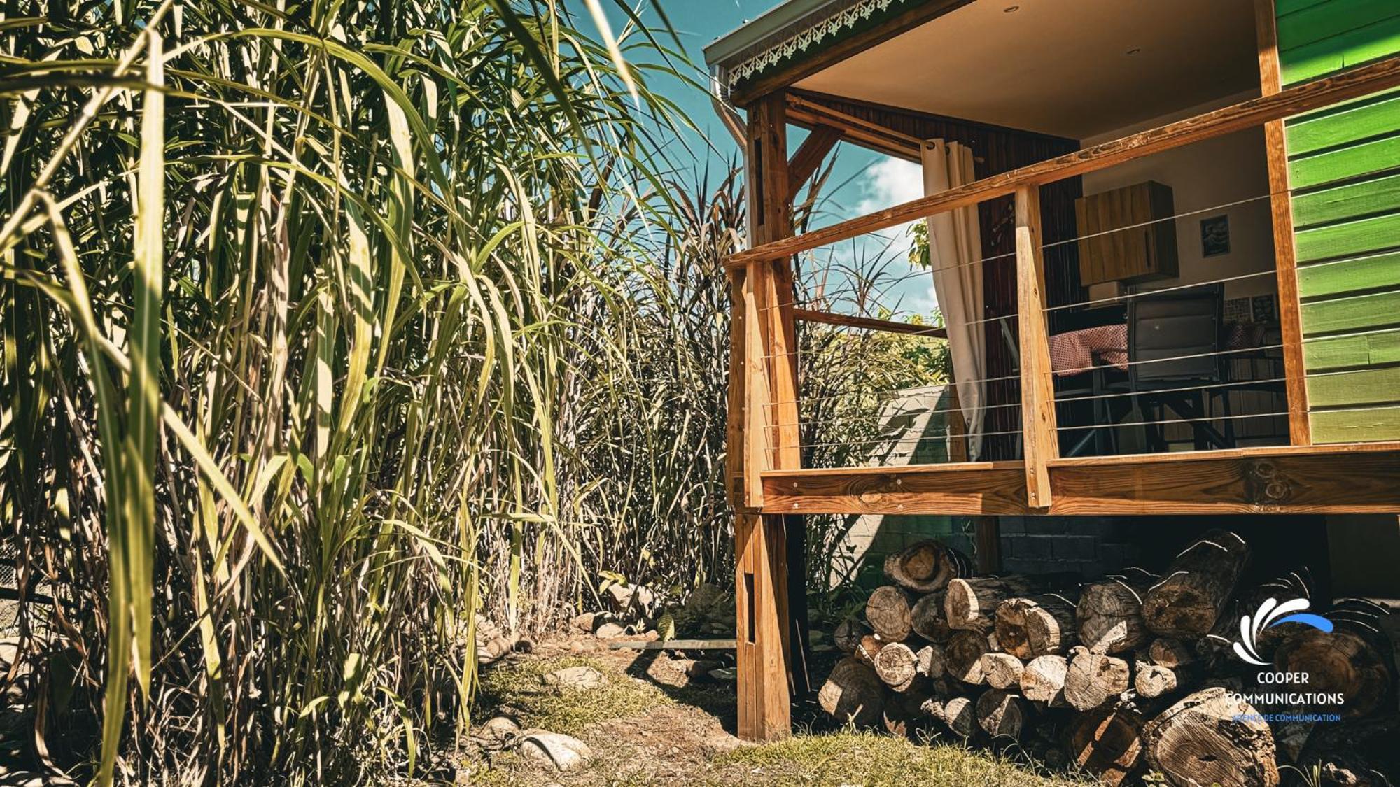 Chalet Tikaz Sandjo Noël 외부 사진